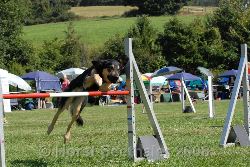 agistaats08 (96).JPG